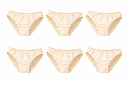 Lot de 6 Culotte Femme