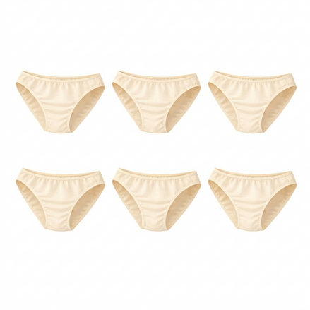 Lot de 6 Culotte Femme